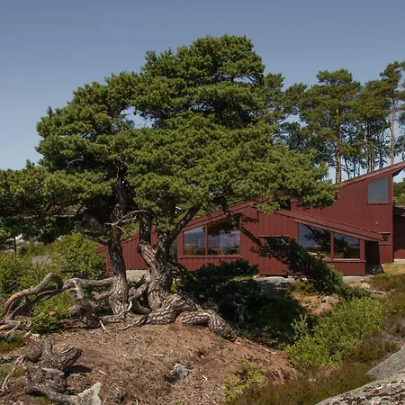 Architect-designed With In Risor